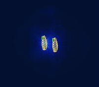 Orecchini Chiara Ferragni Donna CHAIN in Lega metallica Zirconia J19AUW32 - J19AUW32